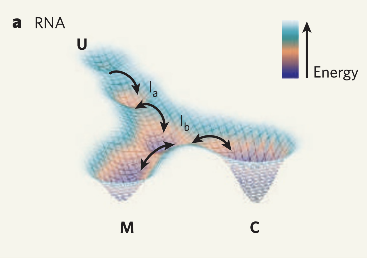 example of rna folding landscape