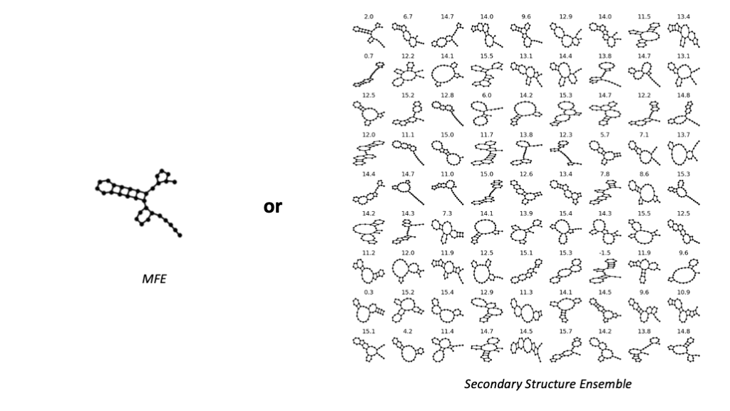 rna as graphs